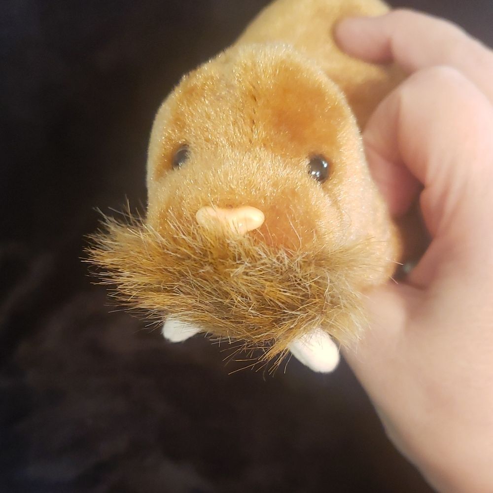 Vintage 1999 Ty Beanie Baby PAUL the Walrus